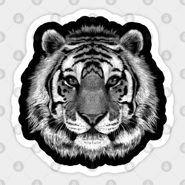 TIGER HEAD Sticker by tonyspencer